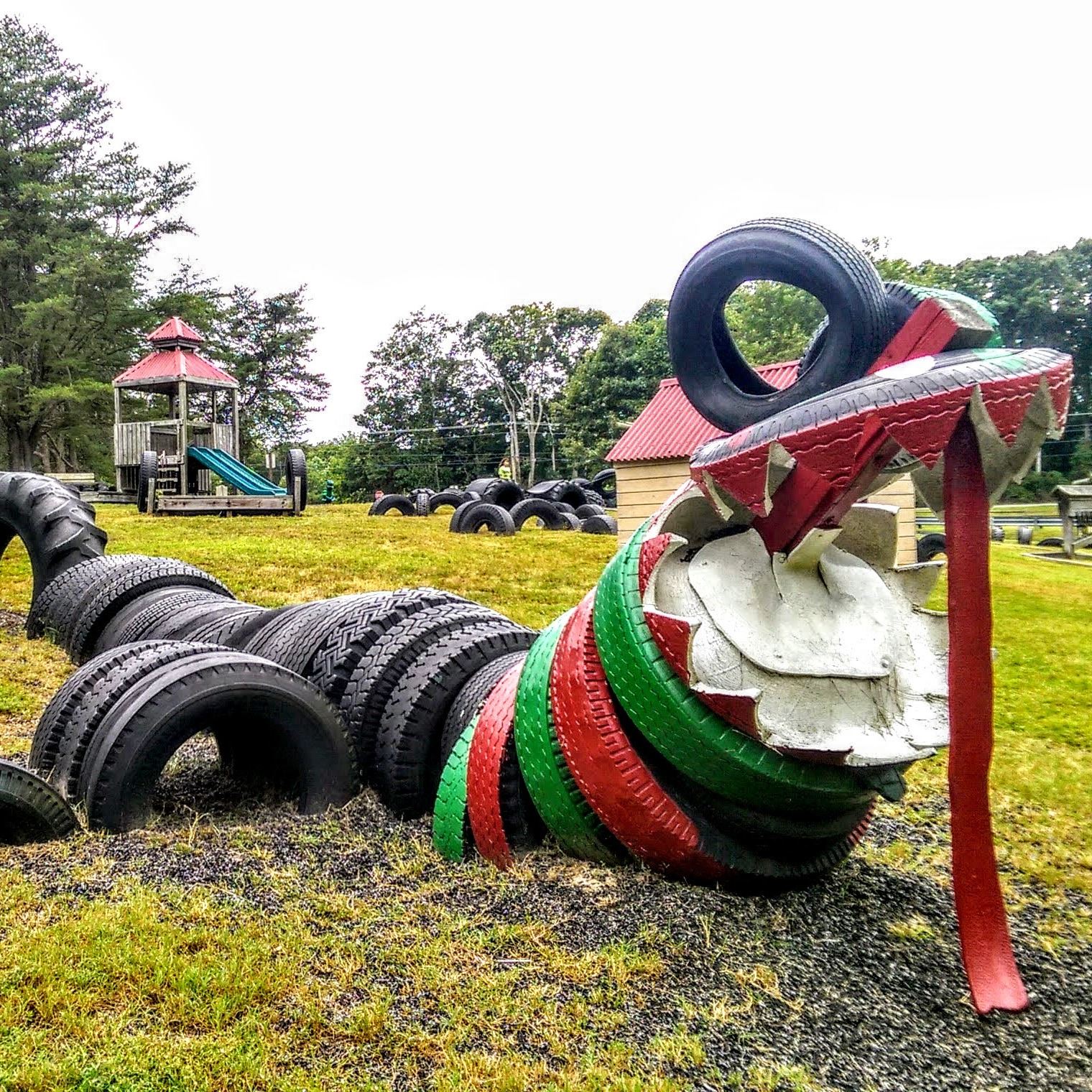Tire playground at Calvert Cliffs