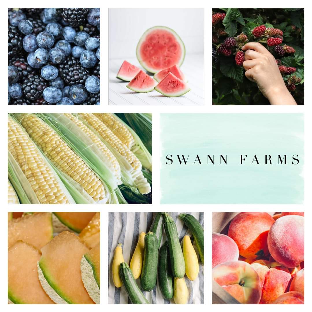 Collage of fresh peaches, watermelon, berries, squash and corn