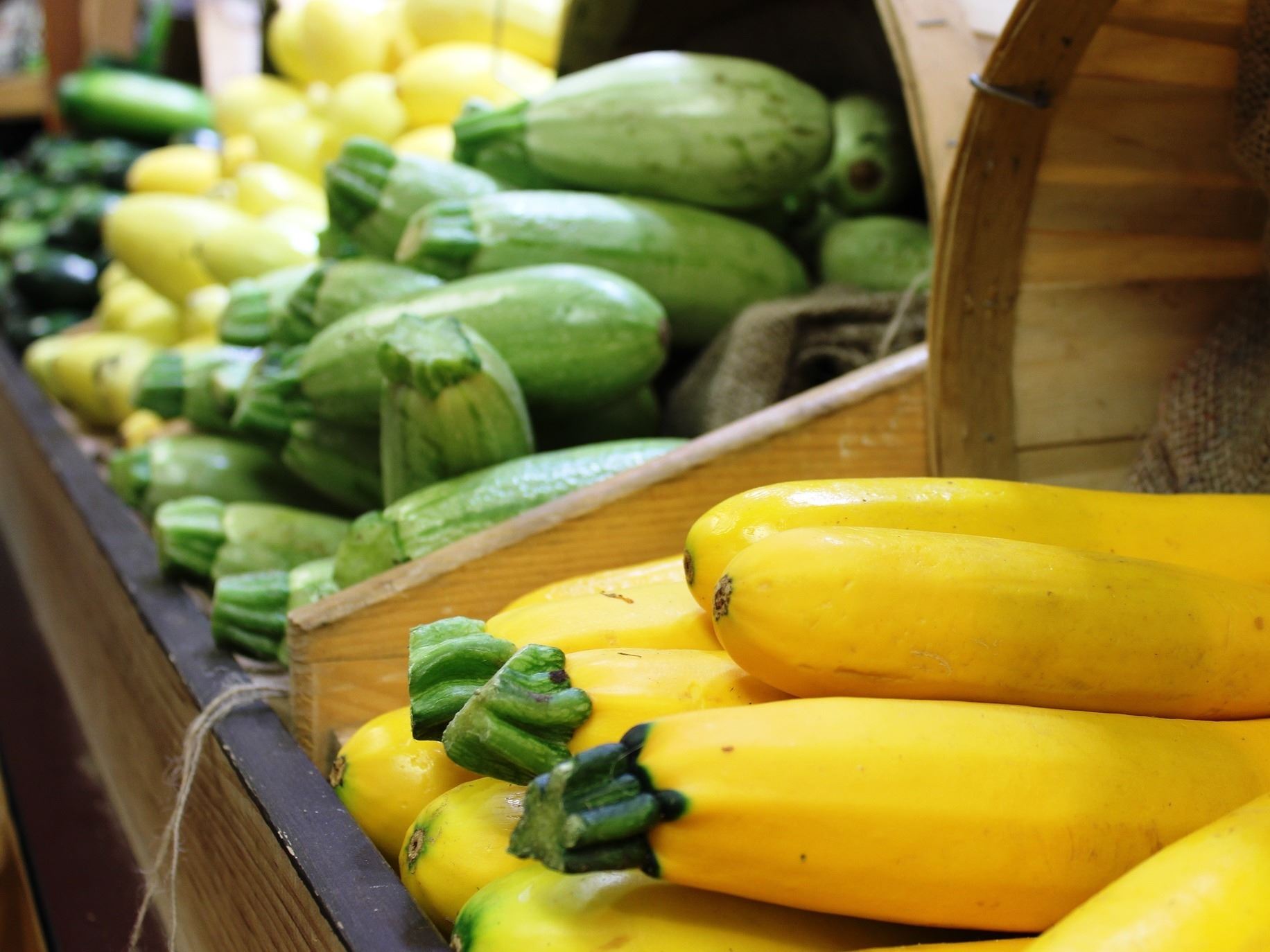 Squash and zucchini