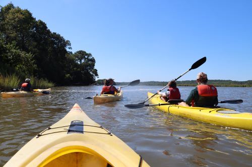 Group of people kayaking
