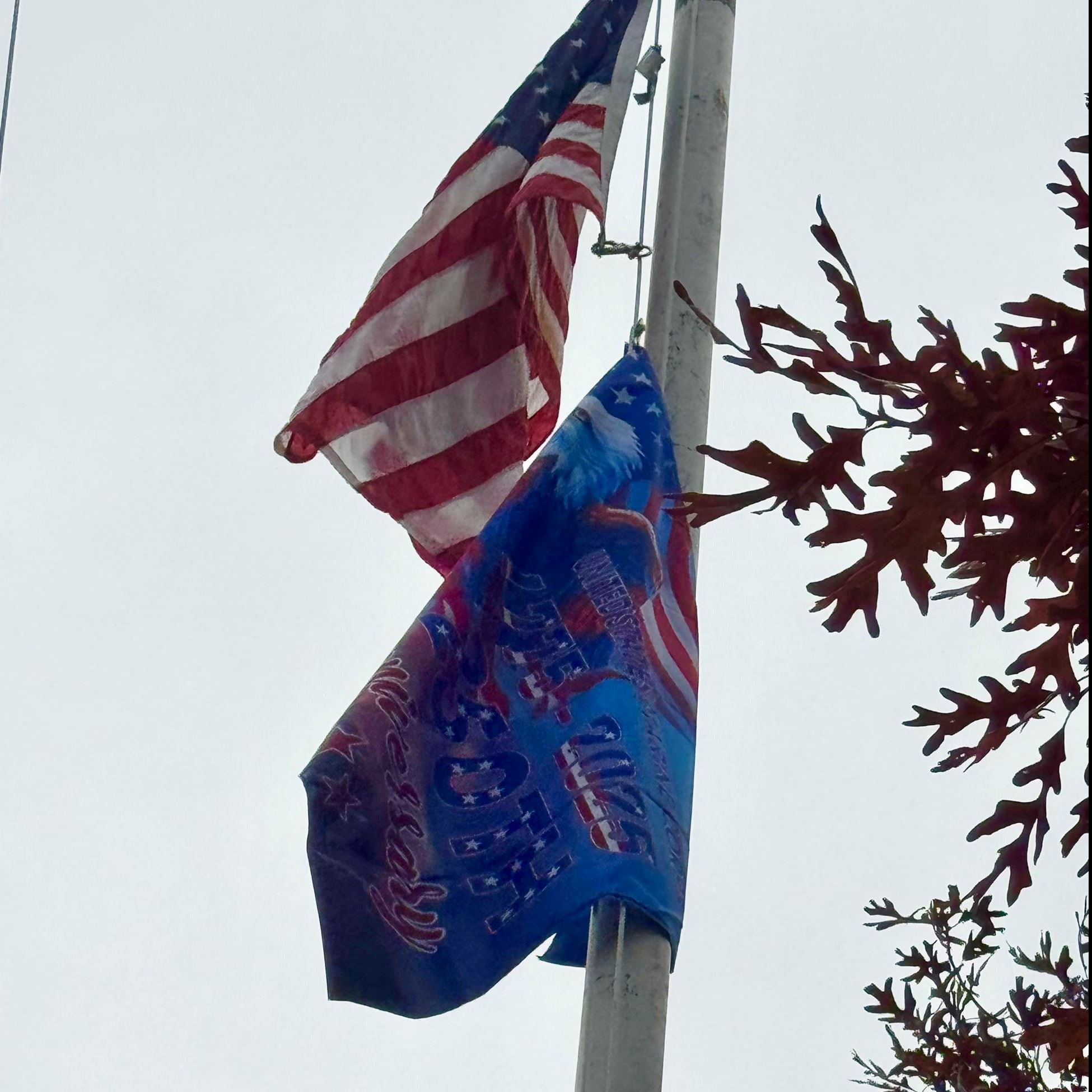 flag pole with marines flag and american flag